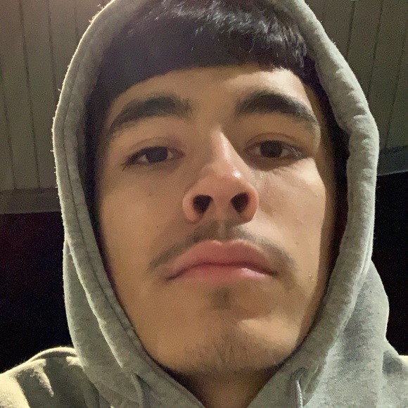 Meet your Posher, Pete - Picture 1 of 1